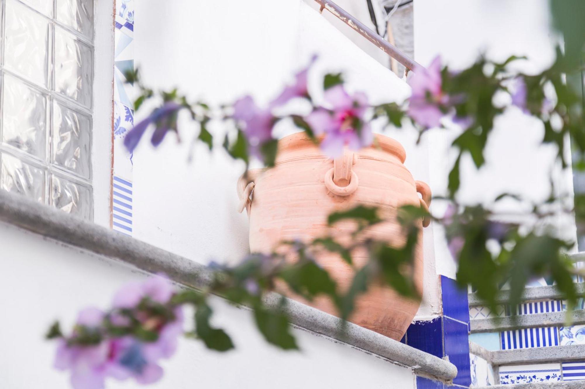 Villa Giulia - Vesuvio Guest House Pompei Sorrento Boscotrecase エクステリア 写真
